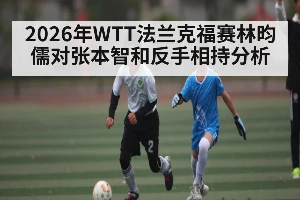 2026年WTT法兰克福赛林昀儒对张本智和反手相持分析